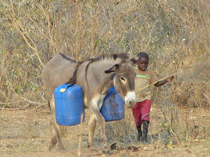 KONICA MINOLTA DIGITAL CAMERA