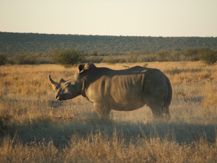 6[1].) Mike 11.06.06