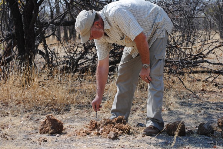 Namibia_oktober_2011 269